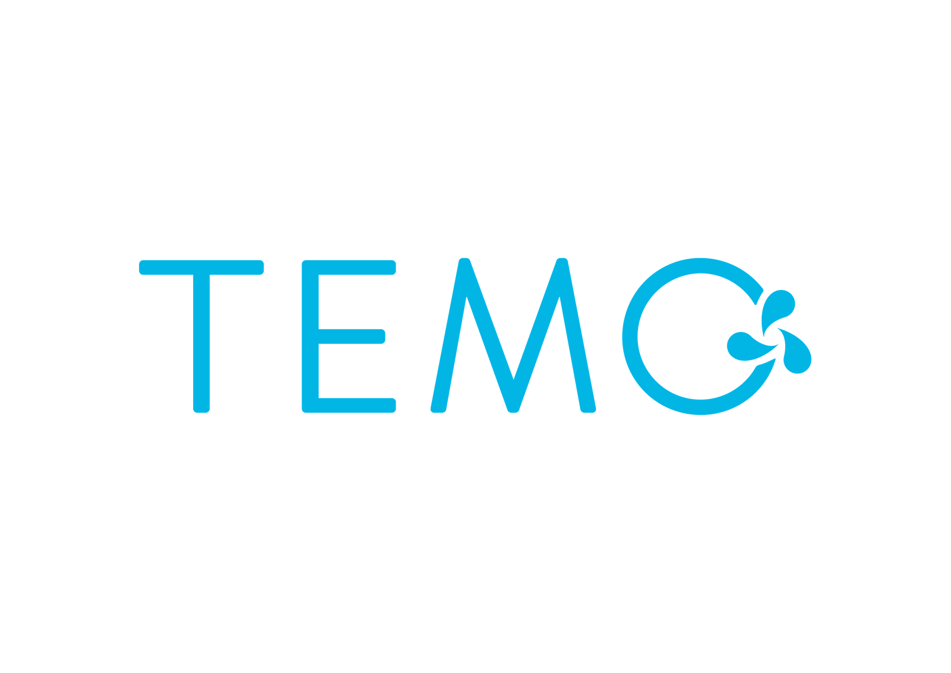 1- TEMO France